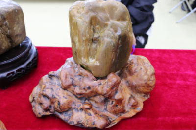 石韻煤魂，魅力海倫——首屆奇石文化旅游節盛大開幕，焦炭產業與文化盛宴交相輝映